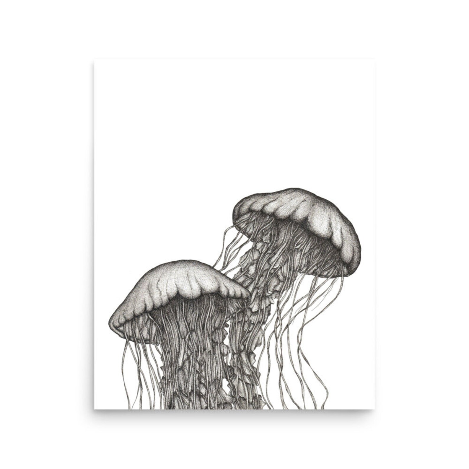 Ocean Animal Prints. Jellyfish, Lobster, Corals Wall Art main image 1