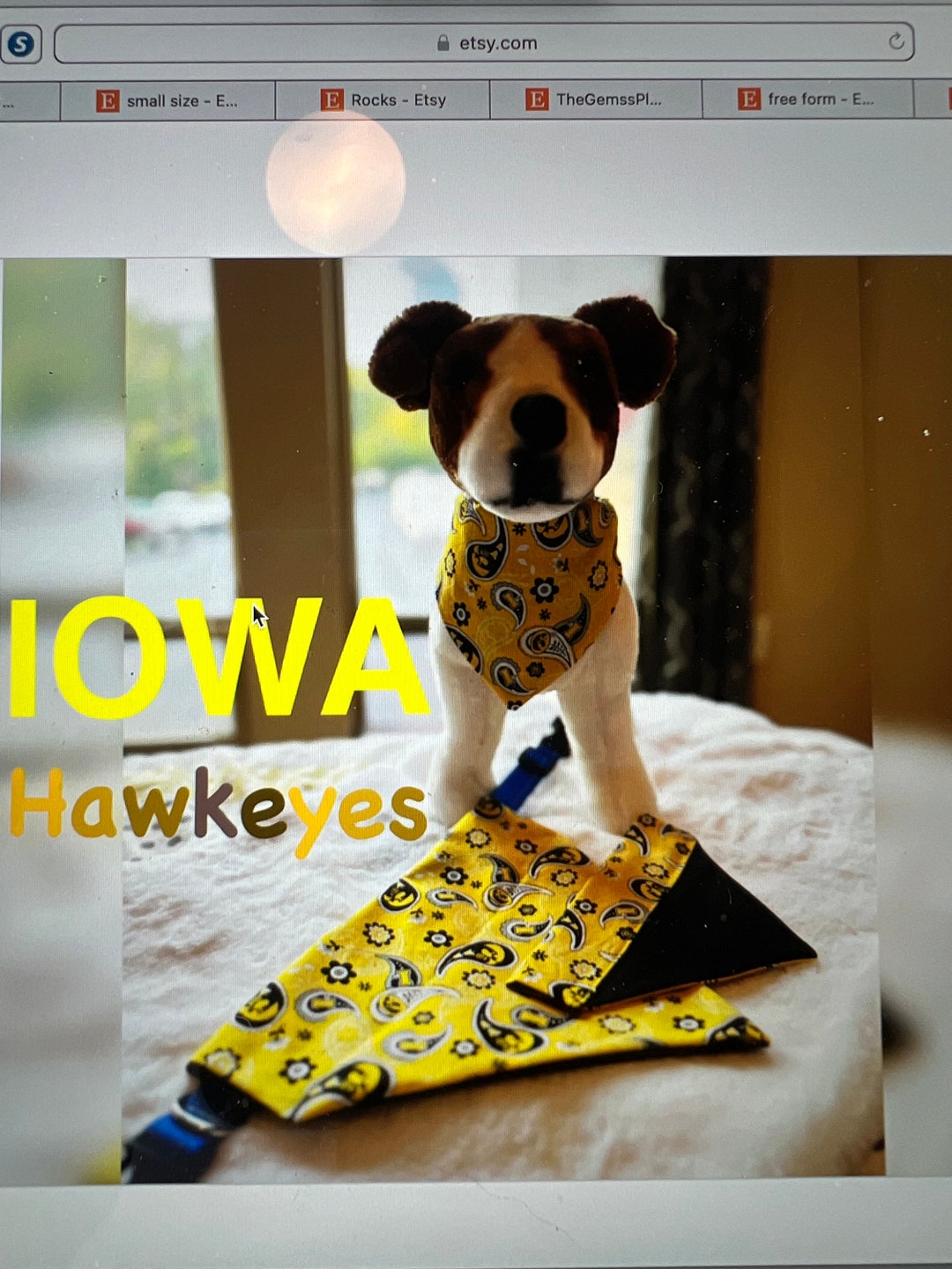 Iowa hawkeye dog clearance bandana