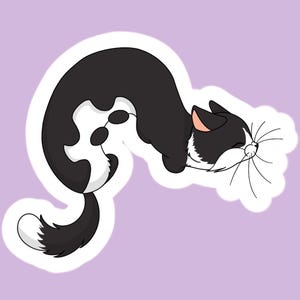 May include: A die-cut sticker featuring a stylized black and white cat in a curved, stretching pose. The cat has a black back, a white chest and face, and a long tail with a white tip. The illustration has a thick white border outline.