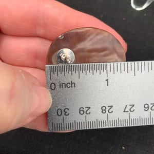 May include: A brown, semi-circular earring with a silver post, measuring approximately 1 inch (2.5 cm) in diameter. The earring is held up to a ruler for measurement, showing its size.
