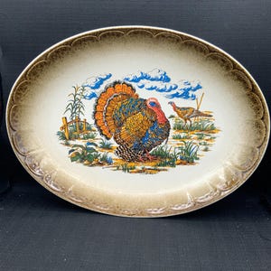Puede incluir: Un plato de servir ovalado de cerámica marrón y blanco con un borde decorativo. El plato presenta una ilustración colorida de un pavo y un pájaro más pequeño en un entorno de campo.