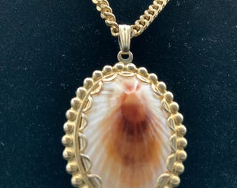 Vintage Limpet Shell Necklace, Timeless Beach Charm, Mothers Day Gift