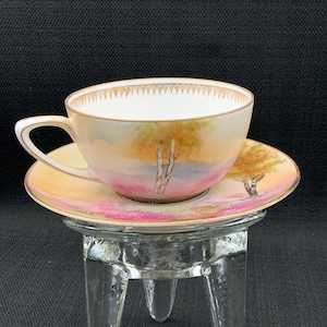Vintage RS Germany Teacup and Saucer , Hand Painted, Porcelain Teacup, Tea Party Decor, Collectible, Gift, Mothers Day Gift, German