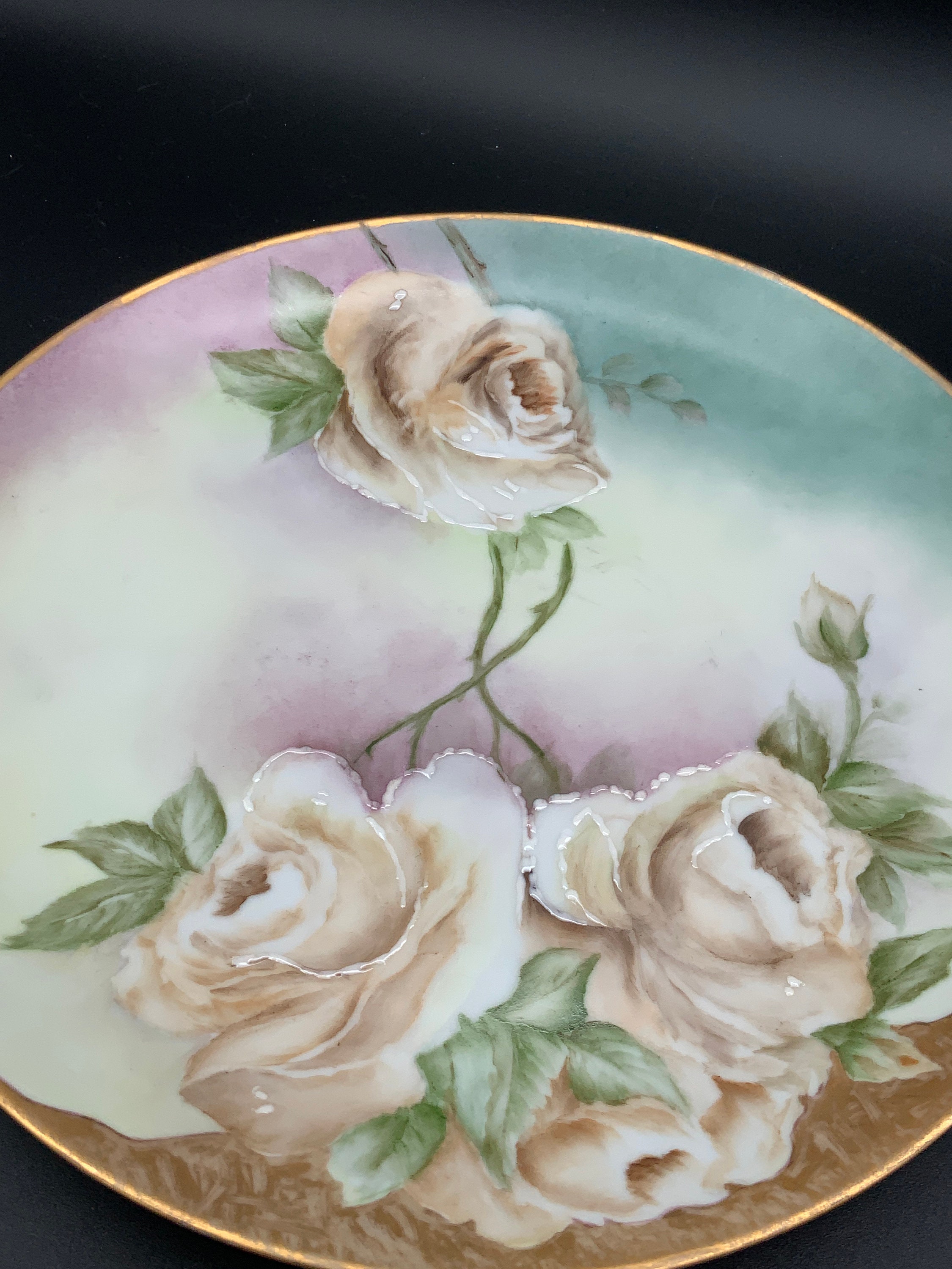 Hand Painted Plate Bavaria Z S & Co, Royal Munich Porcelain