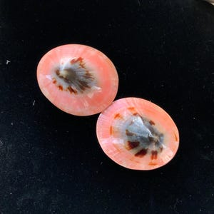 May include: Two oval-shaped seashells with a pink and white exterior and a dark brown and gray interior. The shells are on a black surface. The shells have a smooth, polished appearance.