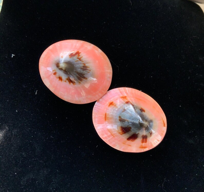 May include: Two oval-shaped seashells with a pink and white exterior and a dark brown and gray interior. The shells are on a black surface. The shells have a smooth, polished appearance.