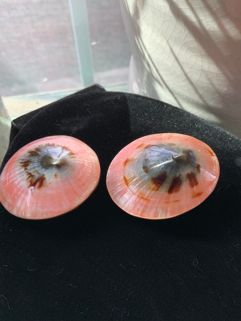 May include: Two pink and brown seashells with a pearlescent sheen. The shells have a spiral pattern and are set against a black background. The shells are oval-shaped and appear to be natural, with a glossy finish.