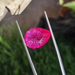Puede incluir: Una gema facetada en forma de l&aacute;grima, de color magenta brillante, es sostenida por unas pinzas plateadas. El interior de la gema presenta un patr&oacute;n radial. El fondo es una mezcla borrosa de tonos verdes y neutros.