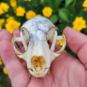 Porcelain Inspired Bobcat Skull - Hand painted with gold embellishment.