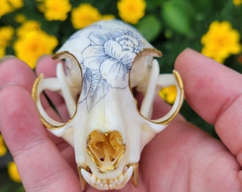 Porcelain Inspired Bobcat Skull - Hand painted with gold embellishment.