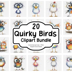 Quirky Birds Clipart Bundle PNG Whimsical Animals Clipart Funny clip art Whimsy Silly Birds illustration, Digital Download, Commercial use