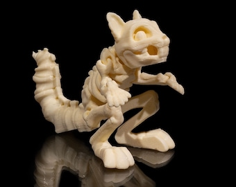 Skeleton Squirrel