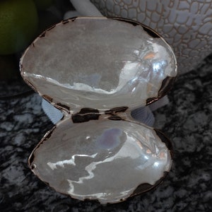 Vintage ceramic clam shape decorative trinkets dish