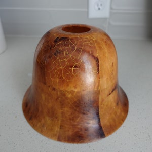 Vintage lamp shade Light Fixture covers tortoise brown