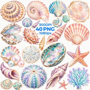 May include: A collection of various seashells, starfish, sea urchins, and coral in pastel shades of pink, blue, and purple. The image includes illustrations of spiral shells, bivalves with pearls, and textured sea urchins. Text reads 300DPI 40 PNG 1080px.