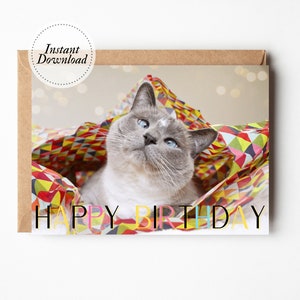Printable Birthday Card, Happy Birthday, Cat in tissue paper, Printable cat card, Funny cat card, Cat lover card, Cute grandson card