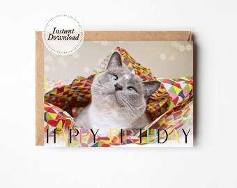 Printable Birthday Card, Happy Birthday, Cat in tissue paper, Printable cat card, Funny cat card, Cat lover card, Cute grandson card