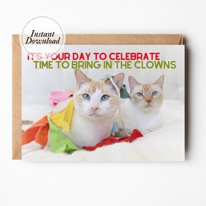 Druckbare Geburtstagskarte, es ist dein Tag zu feiern, Zeit die Clowns hereinzubringen, druckbare Katzenkarte, lustige Katzenkarte, verrückte Katzendame Geschenk