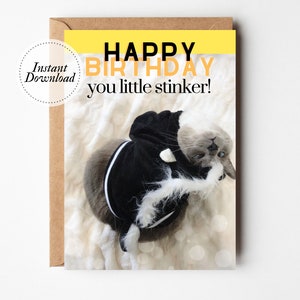 Tarjeta de cumpleaños imprimible, Feliz cumpleaños, pequeño apestoso, Tarjeta de gato imprimible, Tarjeta de gato divertida, Tarjeta de amante de los gatos, Tarjeta de cumpleaños de broma