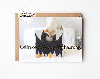 Printable Halloween Card, Get In Loser We're Going Haunting, Halloween Greetings, Happy Halloween Cat, Cute Halloween Bat, Joke Halloween