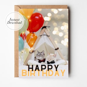 Printable Birthday Card, Happy Birthday, Up Adventure Balloons, Printable cat card, Funny cat card, Cat lover card, Cute son card