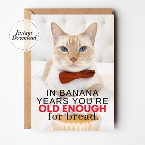 Biglietto di compleanno stampabile, Negli anni della banana sei abbastanza grande per il pane, Biglietto gatto stampabile, Biglietto gatto divertente, Biglietto amante dei gatti, Compleanno scherzo