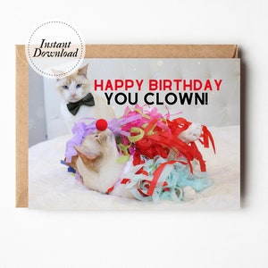 Tarjeta de cumpleaños imprimible, feliz cumpleaños payaso, tarjeta de gato imprimible, tarjeta de gato divertida, tarjeta de amante de los gatos, marido de tarjeta divertida, tarjeta de hijo lindo