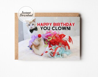 Printable Birthday Card, Happy Birthday You Clown, Printable cat card, Funny cat card, Cat lover card, Funny card husband, Cute son card