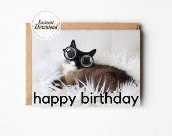 Printable Birthday Card, Happy Birthday, Kitty in geezer glasses, Printable cat card, Funny cat card, Cat lover card, 80th birthday card