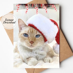 Tarjeta de Navidad imprimible, tarjeta de felices fiestas, descarga digital, impresión 5X7 en casa, tarjeta linda amante de los gatos