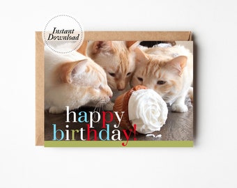 Printable Birthday Card, Happy Birthday, Cats and cupcake, Printable cat card, Funny cat card, Cat lover card, Funny card husband