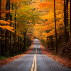 Fall Scenery -- 3pics