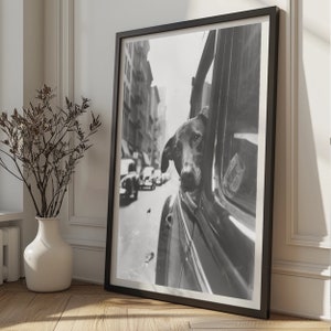 Dog in the window   Black and White Print   Poster Print   Black and White Art   Vintage Wall Art