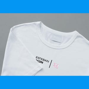Esteban Ocon F1 fan-T-shirt. Alpine Racing Formula One Racing Ocon 31. Alpine-fanshirt Perfect cadeau voor Formule1-liefhebbers