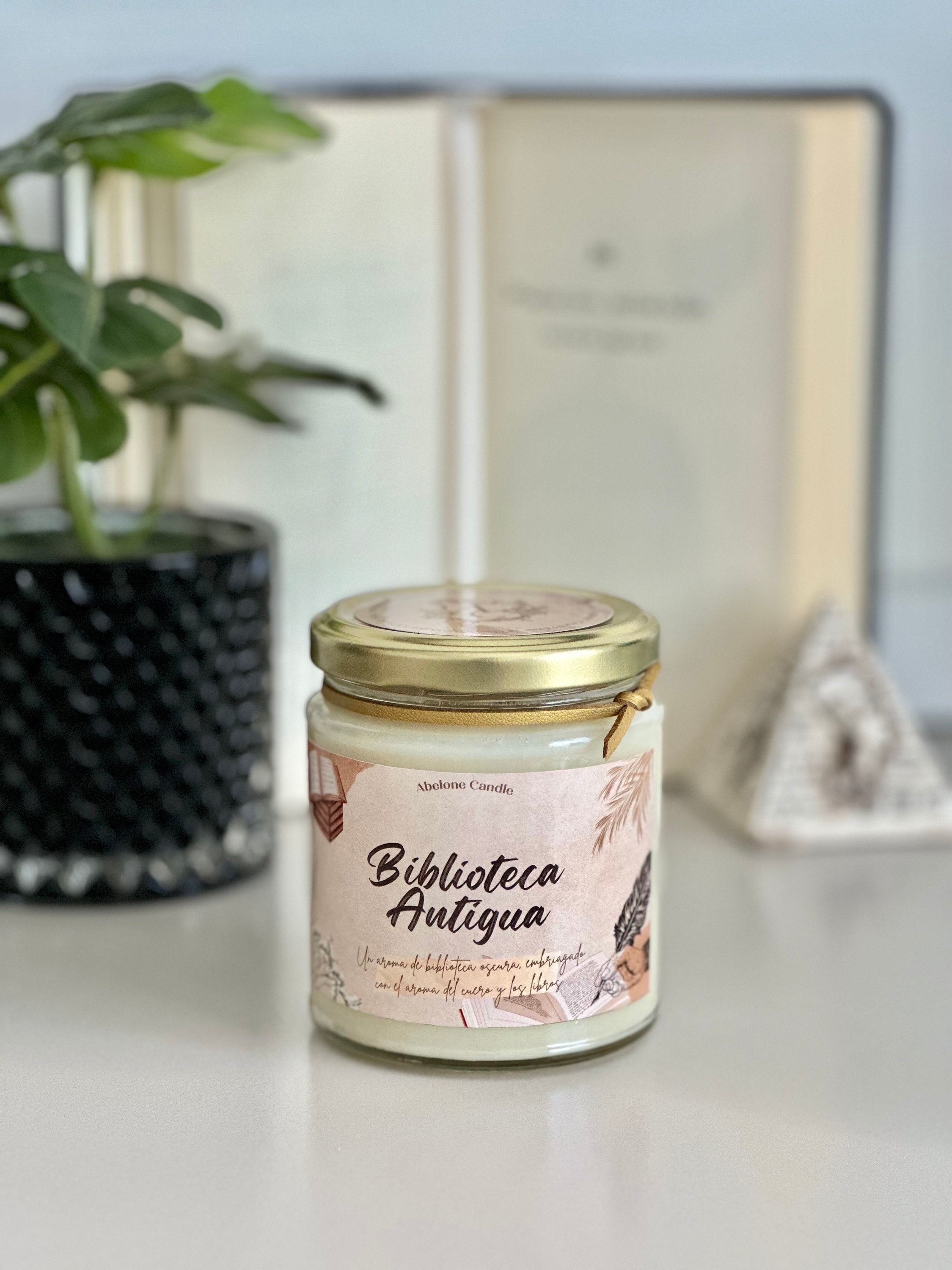Vela de soja Artesanal "Biblioteca Antigua" / Aromática / Relax