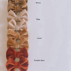 K&ouml;nnte beinhalten: Satz mit f&uuml;nf Samthaarspangen in Braunt&ouml;nen, Beige und Orange. Die Schleifen sind vertikal von dunkel nach hell angeordnet, mit den Bezeichnungen "Bronze", "Beige", "Camel" und "Pumpkin Spice" unter jeder Schleife.