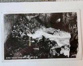 Sea Lion Caves, Oregon, vintage photo RPPC postcard, black and white, written, mailed, US 3 cent stamp, canceled, rare post card 1951