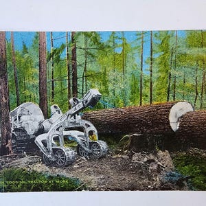 May include: Vintage postcard depicting a logging scene. A large, white tractor with the word "Hyster" is positioned near a cut log. The background features a lush forest with tall trees and a blue sky. The text "MODERN LOGGING TRACTOR AT WORK" is at the bottom.