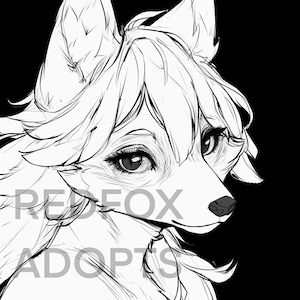 Anthro Canine Lines- Anthro Base- Lines to Color- PSD and PNG