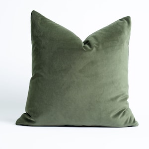 Velvet Decorative Pillow