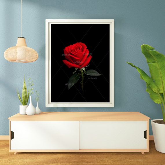 絵画 Red Rose D446859S_1.jpg