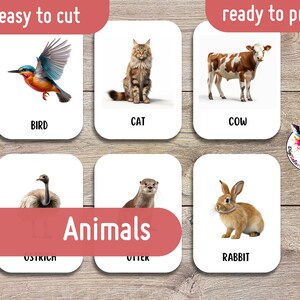 Meravigliose FlashCard per animali comuni / Set di 29 carte / Flashcard Montessori / Carte stampabili educative / Download istantaneo / Pronte per la stampa