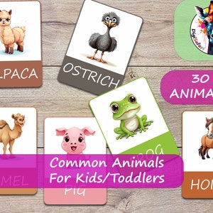 DigiSafari 30 Common Animals Cards | Montessori flashcards | Pre-School Cards | Educational Printable Cards | Instant Download