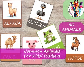 DigiSafari 30 Common Animals Cards | Montessori flashcards | Pre-School Cards | Educational Printable Cards | Instant Download