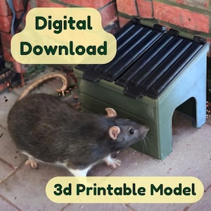 May include: A 3D printable model of a rat house. The house is green with a black roof and a small opening for the rat to enter. A rat is standing near the house, looking inside. The image includes the text "Digital Download" and "3d Printable Model".