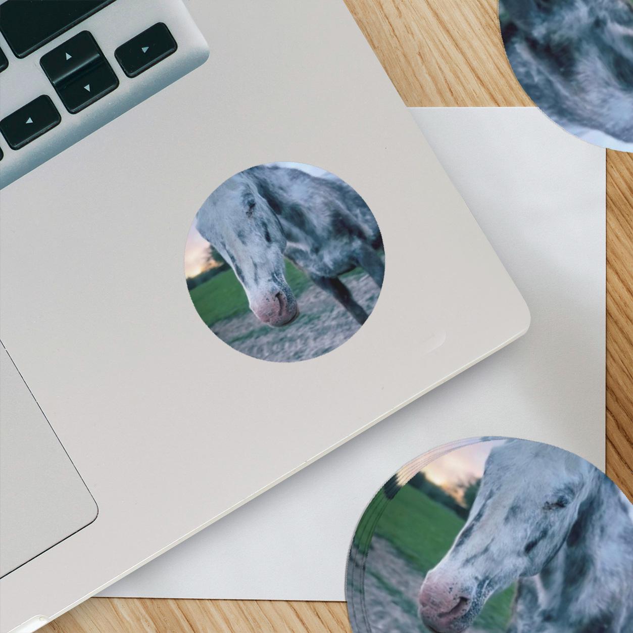 Cheyenne Meme Coin- Sticker - Etsy
