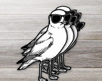 Weatherproof Bird Sticker: Seagulls with Sunglasses