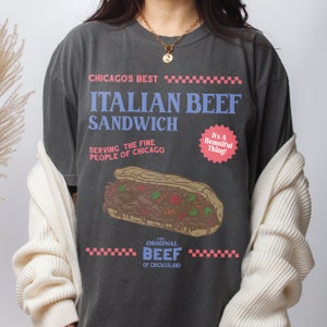 The Bear Show T-shirt retrò, The Original Beef of Chicagoland Vintage Faded Sandwich Graphic TV Show Shirt, Jeremey Allen White TShirt