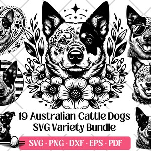 May include: A black and white SVG variety bundle featuring 19 Australian Cattle Dogs. The designs include portraits of the dogs with floral accents, sunglasses, and patriotic themes. The bundle includes SVG, PNG, DXF, EPS, and PDF formats.