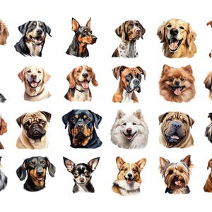 Dog Clipart Bundle · Puppy Breed Canine Clipart PNG · Cricut Files bild 8